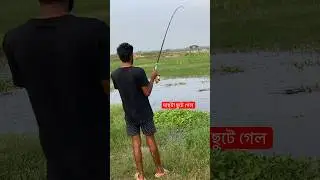 শোল মাছ ধরার কৌশল 😍 bite casting.snakehead fishing.shol mach dhorar desi poddhoti