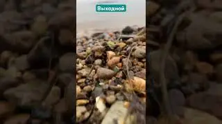 #выходной #2024 #sea #reels