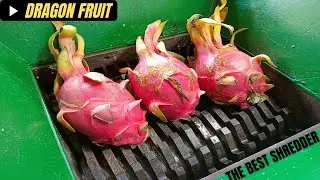 Dragon Fruits vs Fast Shredder Machine