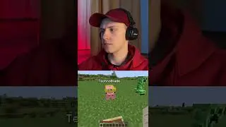 Why is that? #minecraft #gaming #funny