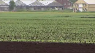 Tough spring for farmers