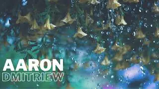 Aaron Dmitriew & Lumidelic - Rain Dance