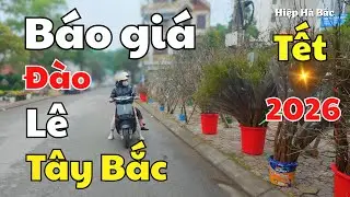 Gi&aacute; Hoa L&ecirc;, 