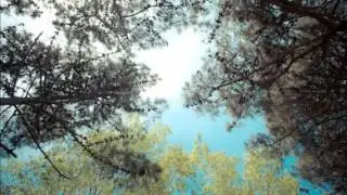 Edgar Malebrán - Sepa el Sol