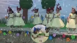 حفلة دار السلام 1435 هـ