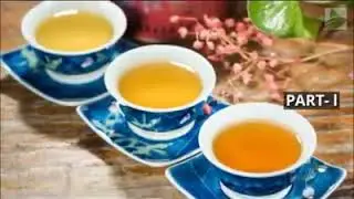 Tea Tour India - The Nilgiris Tea Tasting Tour