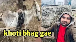 Khotti k uper AJ ka vilog🥰||mushkl sy pker ker laya pher bhag gae||