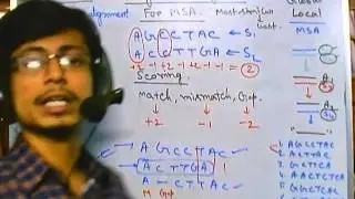 Bioinformatics par 15 pairwise alignment