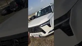 Lexus GX550 vs Toyota Prado250. Растаможка через Беларусь!#mastervadya #sale #luxurycar #sportscar