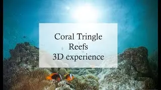 Coral Triangle Indonesia 3D 360&deg; diving experience