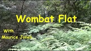 Wombat Flat Walk