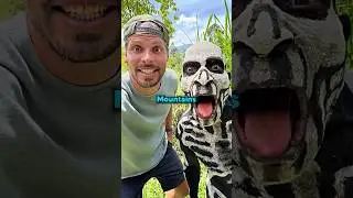 Never Go To This Mountain