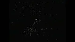 Parapcio - NeoNcore