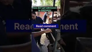 How did I get admission in GADVASU 🐾#shortsyt #vet #shortvideo #neet #gadvasu #trendingshorts