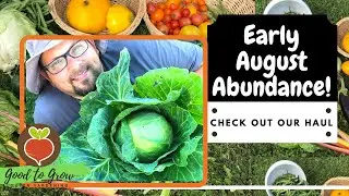 Garden Tour and Garden Harvest | New Yarden Updates for Fall Season 2020| Zone 5 Urban Garden