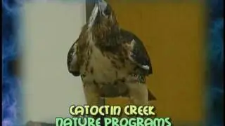 PSA: Nature Programs at Catoctin Creek Park