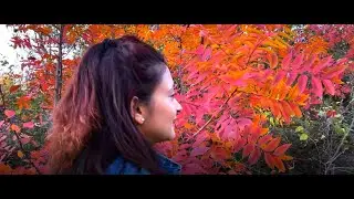 Nawaj Ansari - HOORI (Official Music Video)