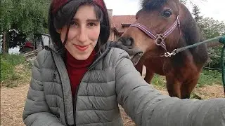 Mój koń traci futro. Czy jest chory?🤔 I dlaczego nie można obcinać wibrysów? #horse #equestrian