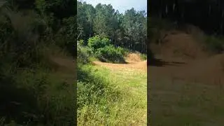 Children in the Mounds - Looking for Wild Food