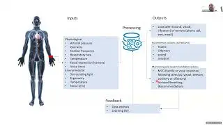 Development of a digital tool for stimulation and collection of neuro-psycho-physiological data.
