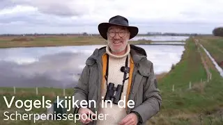 Vogels kijken in de Scherpenissepolder met o.a. de blauwe kiekendief #1702