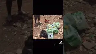 Dakar yoff nettoyage plage warar