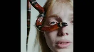 snake lover_ICS TV24#short#ytshort#viral#real#video#ICSTV24