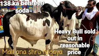 Mohammad pur mandi k sastay or khobsurat bachray || #CowQurbani2023