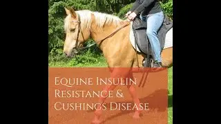 Equine Insulin Resistance & Cushings Disease - Jaini Clougher & Kathleen Gustafson
