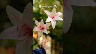 How To Make Paper Lily Flower #diy #craft #paperflower