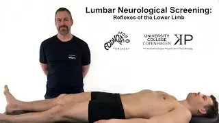 Lumbar Neurological Screening - Reflexes of the Lower Limb