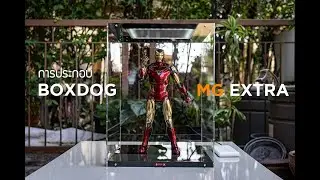 สาธิตการประกอบกล่อง BOXDOG MG EXTRA