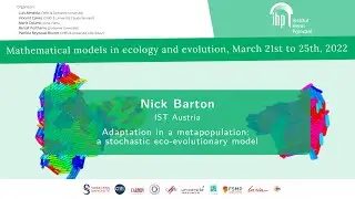 Adaptation in ametapopulation: a stochastic eco-evolutionary model