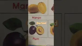 Fruits With One Seed🍓🥑🥥