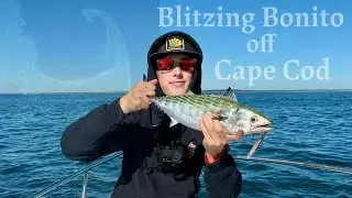 Run and Gun Atlantic Bonito in Buzzards Bay with Howie Keeler