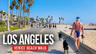 LOS ANGELES, США 🇺🇸 Самый известный пляж | Пешеходная прогулка в 4K