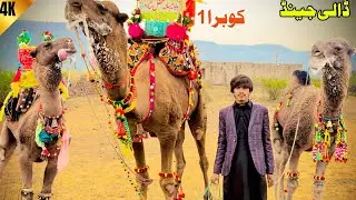 Mela Kalyam Sharif 2026 Highlights | Hazrat Baba Fazal Shah |Kalyam Sharif 2026 Celebration