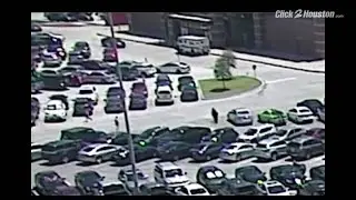 Surveillance video of Willowbrook Mall attempted armed robbery released