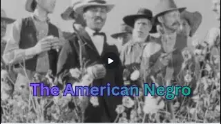 🔥 The American Negro Manifesto Explained #heritage #culture #blackculture