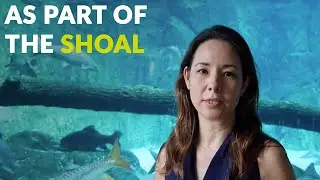 'As part of the SHOAL'