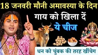 18 जनवरी मौनी अमावस्या के दिन चुपचाप गाय को खिला दें 1 छोटी सी चीज ,  Aniruddhacharya Ji