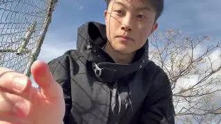 大晦日dayo