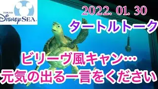 タートルトーク✩ビリーヴ開始直前で風キャン&hellip;