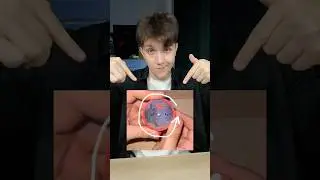 The Secret of the Pirate Sword Trick🎩🏴&zwj;☠️ #magic #secret #trick #shorts