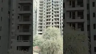 Gurgaon Sector 52 views