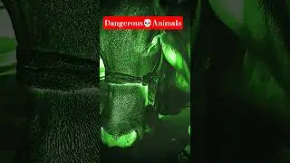 ghost video bhoot video sounds 😱 #ghost #horror #halloween #creepy #spooky #scary #bhoot_video #yt