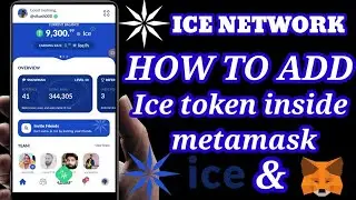 How to Add Ice Token in Metamask: Pro Tips and Tricks