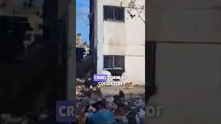 Gaza's Cry for Aid: Breaking the Blockade  #shorts #gaza #isrel