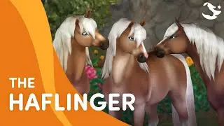 Meet the Haflinger 😎 | Star Stable Breeds