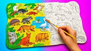 Раскрашиваем и узнаём животных Австралии 🦘🐨